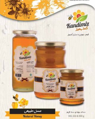 شهد عسل طبیعی (۳۰۰ گرم) کندیمیز
