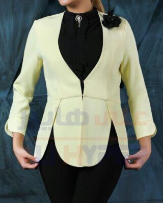 Women's formal coat and top (code 8041) Catalog